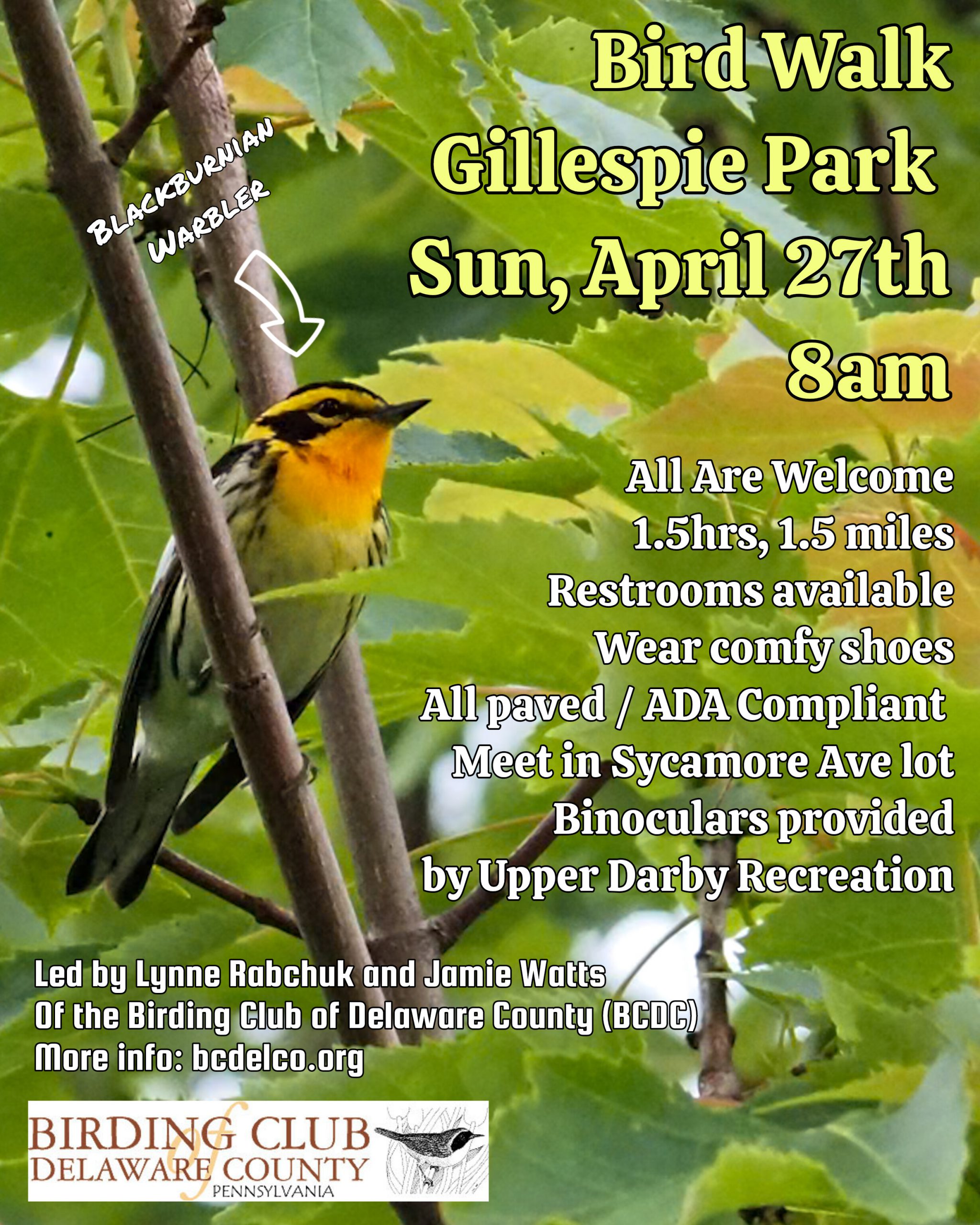 Bird Walk at Gillespie Park in Drexel Hill