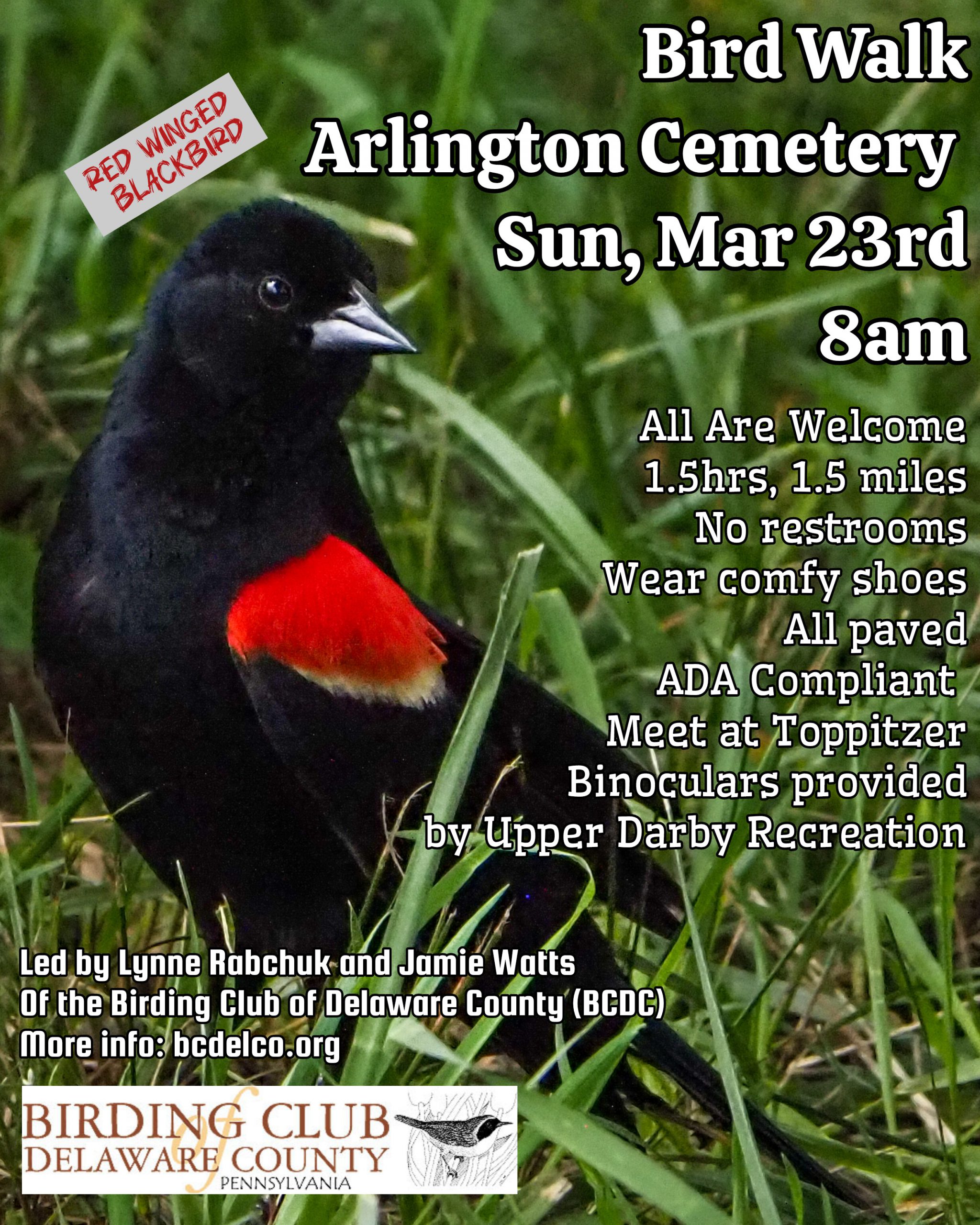 Bird Walk at Arlington Cemetery in Drexel Hill