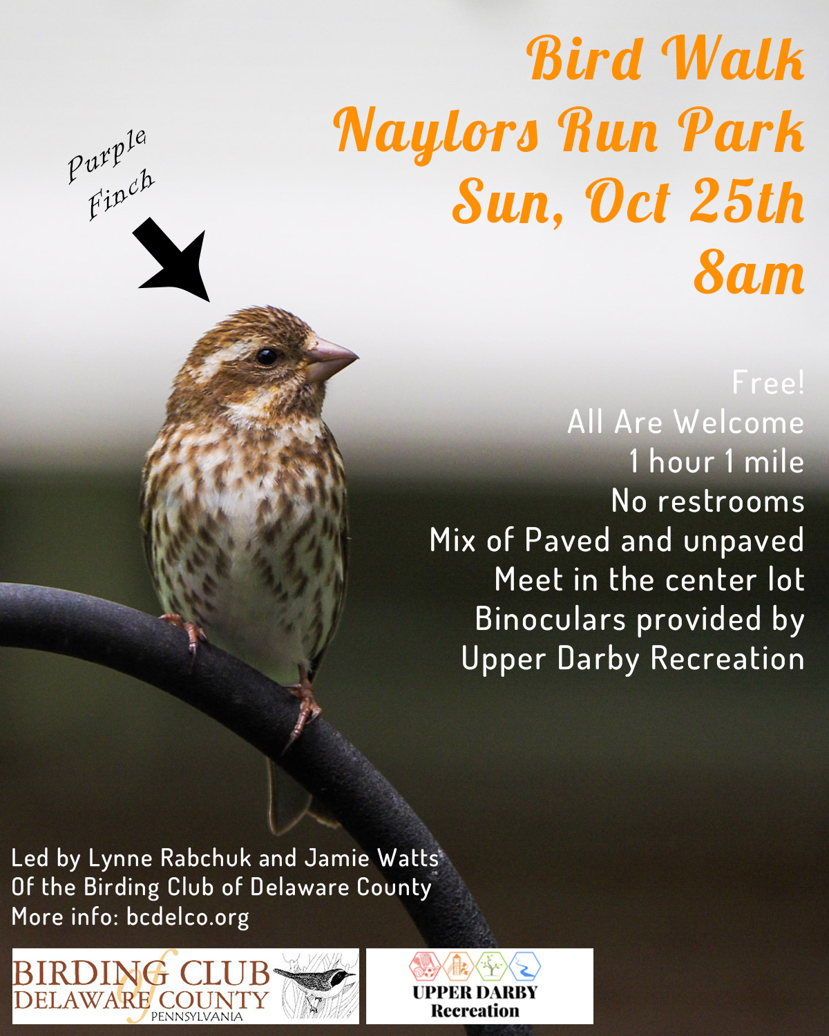 Bird Walk at Naylors Run Park