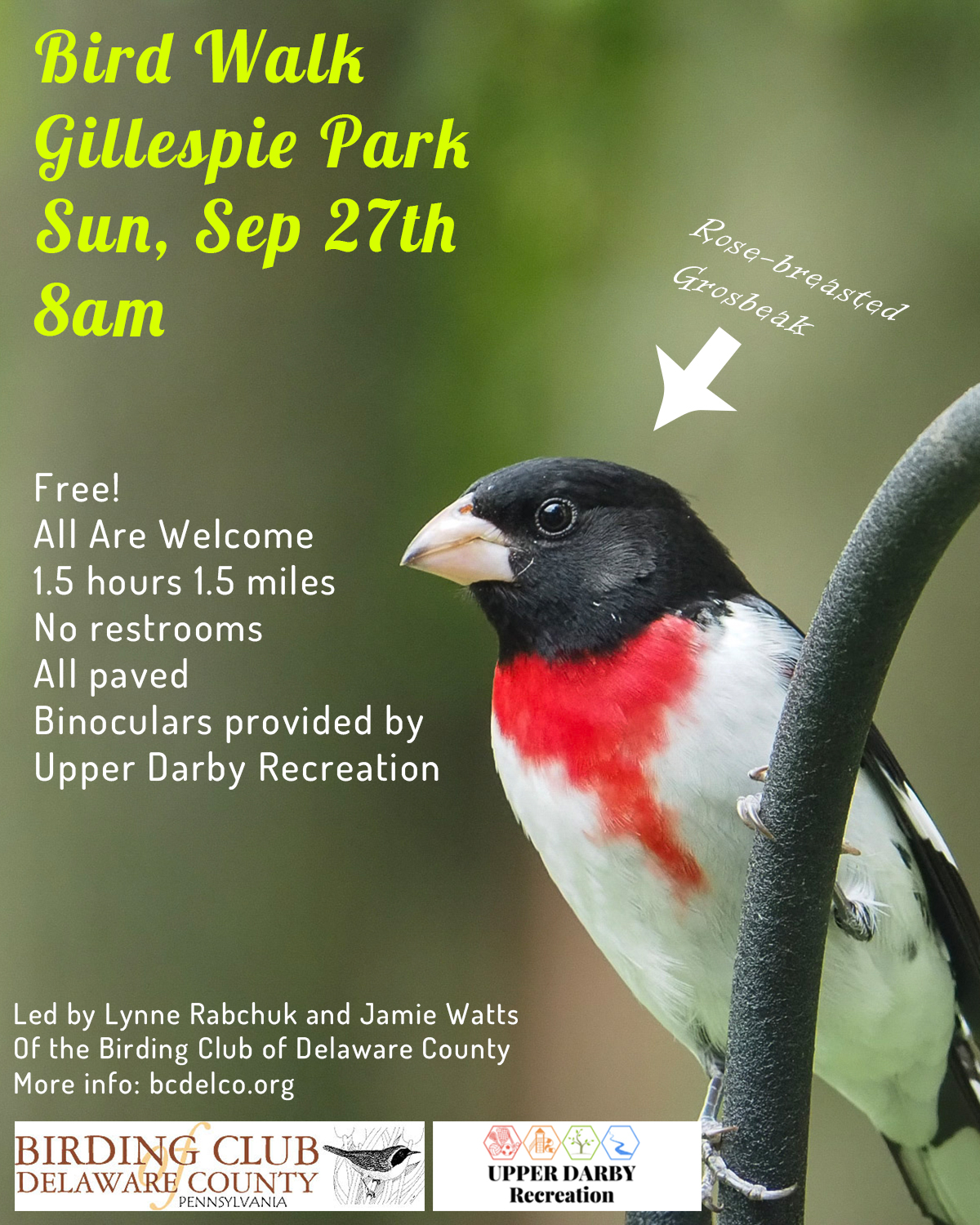 Bird Walk at Gillespie Park