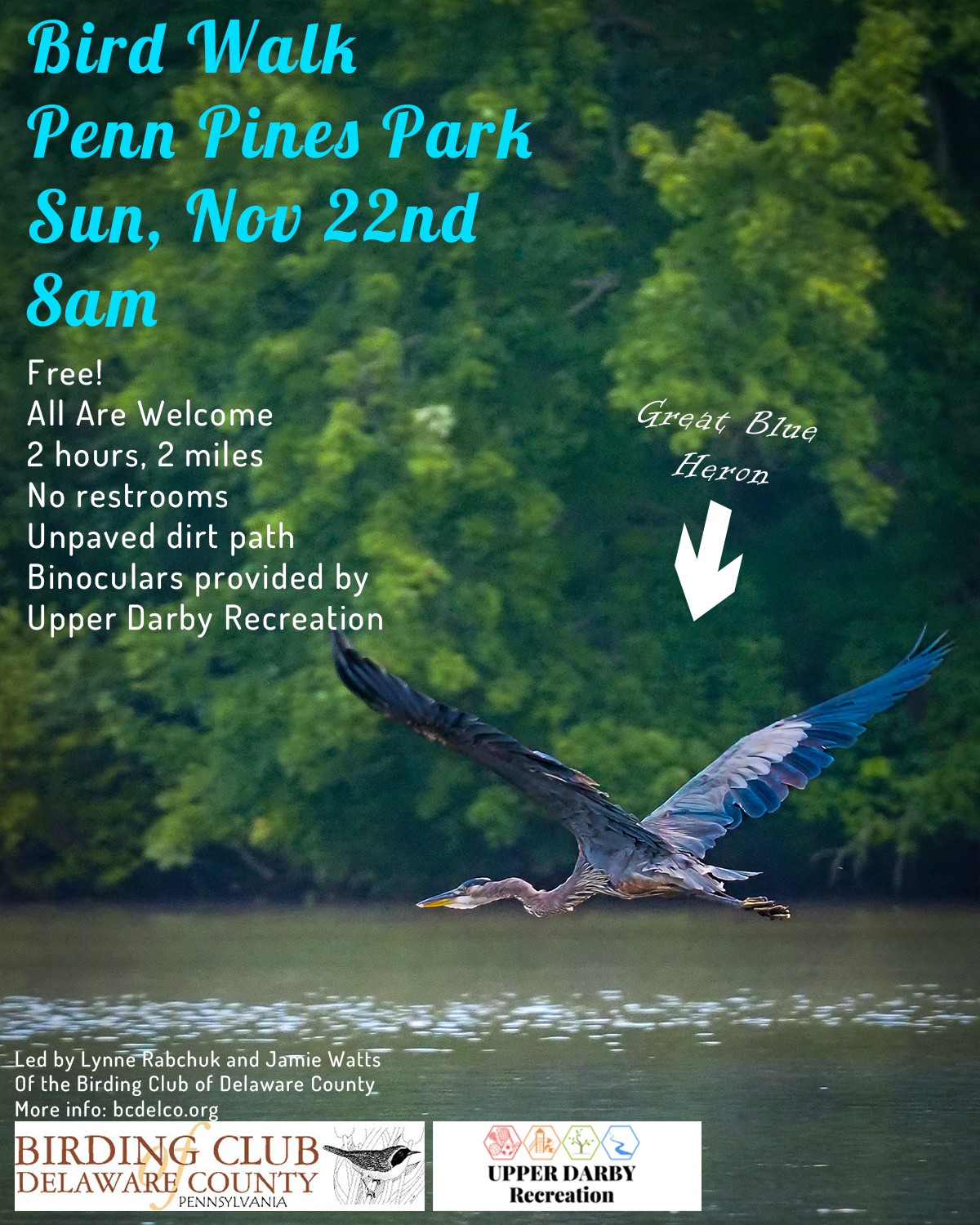 Bird Walk at Penn Pines Park